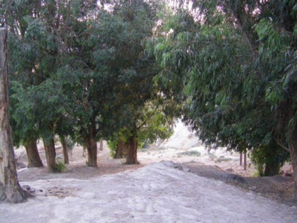 morad salam 2