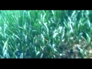 Τάσος Χάλαρης (xxone - part 1)