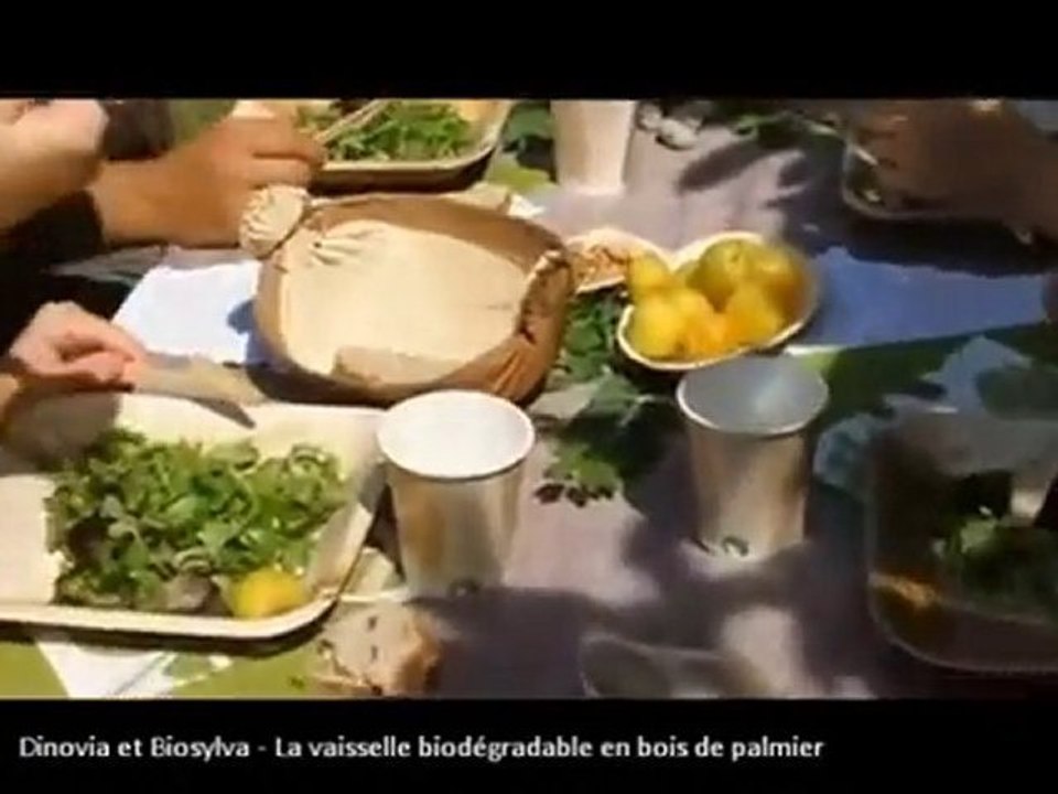 La vaisselle jetable en bois de palmier - la vaisselle bio