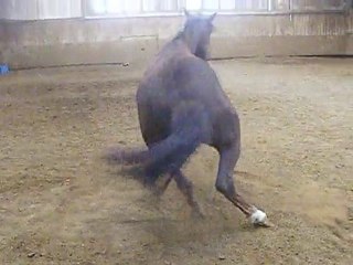 Ondette - 25 août 2010