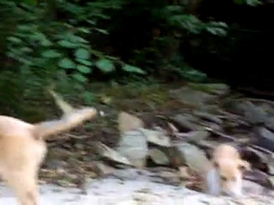 26 Août - Les F. Kids à La Pensière: encore!!!