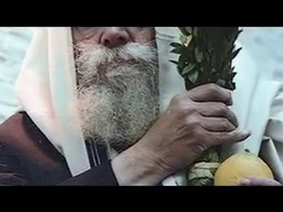 Le Rabbi De Loubavitch