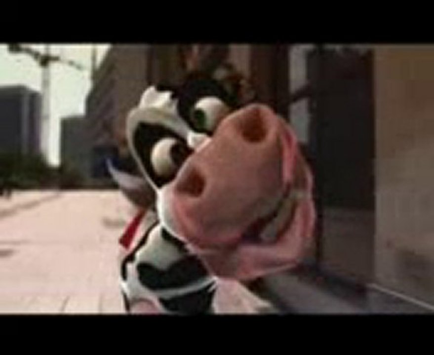 Crazy_Cow