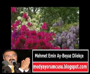 Mehmet Emin Ay - Beyaz Dilekçe