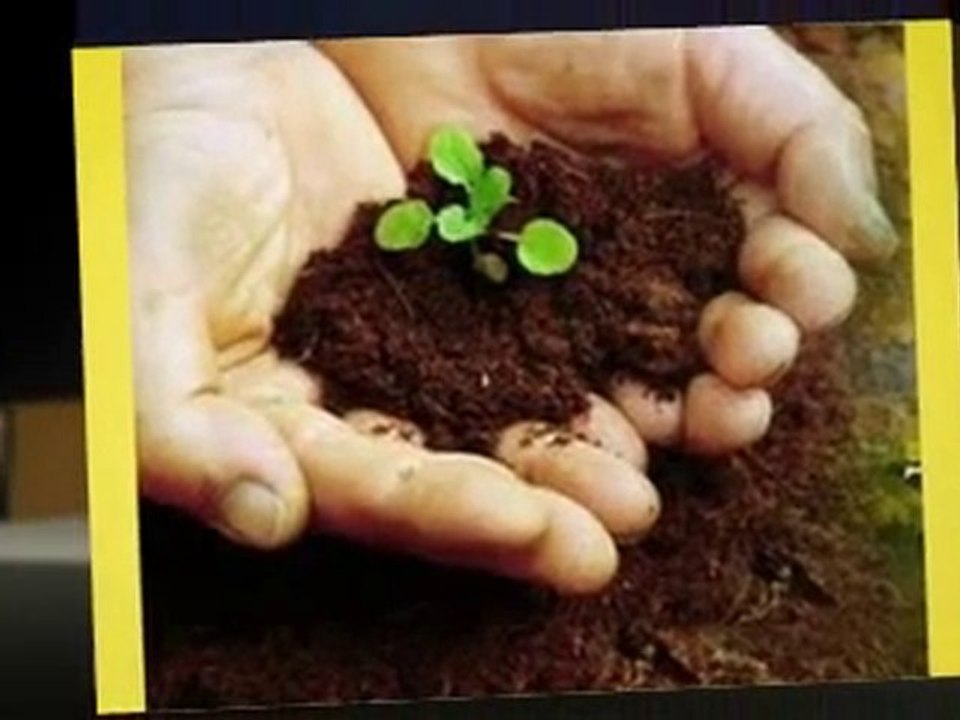 Quality Garden Seeds