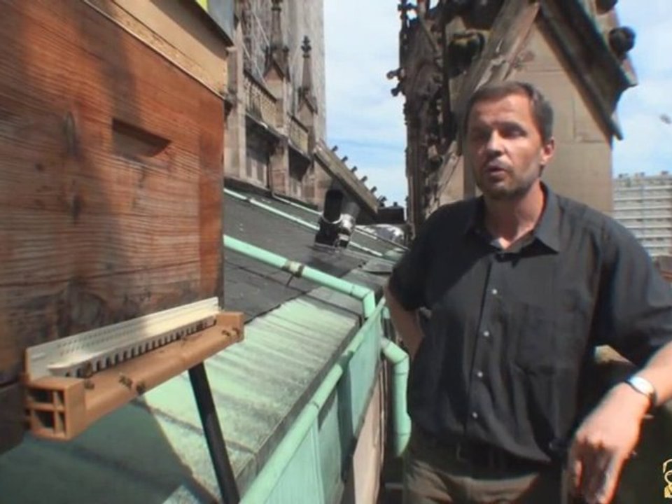 Une Ruche sur le Toit du Temple Saint-Etienne de Mulhouse