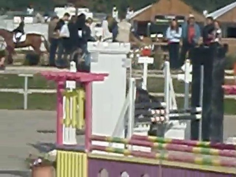 Mac Stef Lamotte 2010 club 2 jeune cavalier excellence 1er j