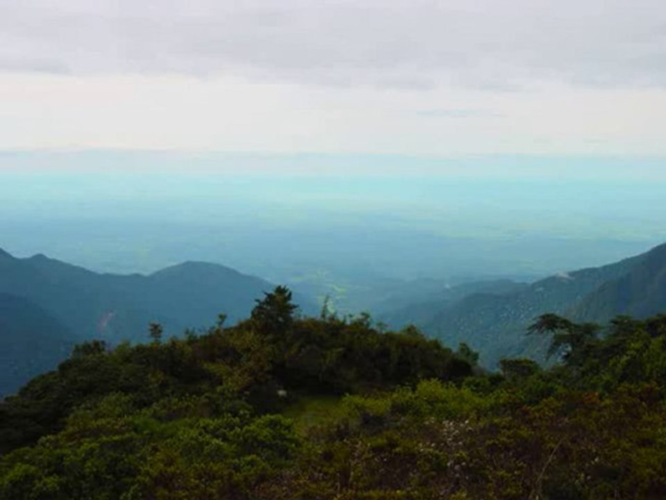 Terapi, Terapist, Terapi, müzikleri