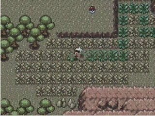 Pokemon Rubis,26) Un chemin des plus poussièreux