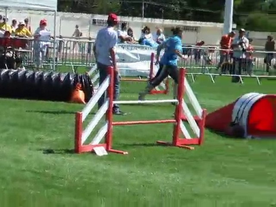 After Agility 1 Finale trophée par équipe 2010