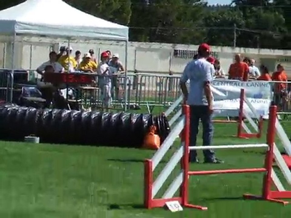 Cayenne Agility 1 Finale trophée par équipe 2010