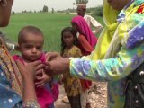Inondations au Pakistan - Les déplacés du Sindh