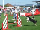 Brume Agility 1 Finale trophée par équipe 2010