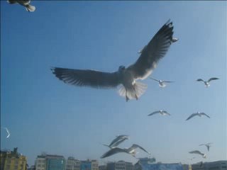 Facebook - Güzel Sözler Ve Müzik Diyari