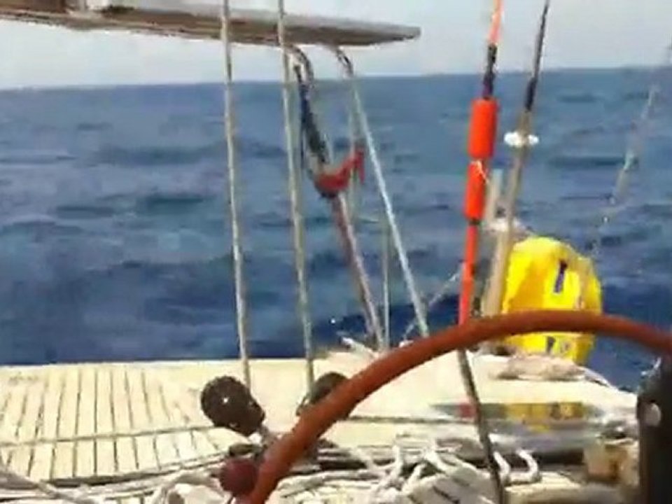 Notre Jack Russel En Naviguation