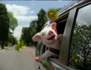 Geico Commercial - Piggy