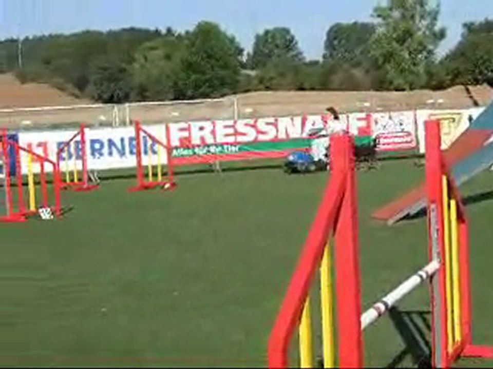 Luxembourg open - agility samedi