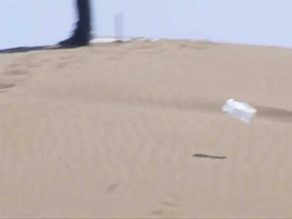 Poesie du sac plastique