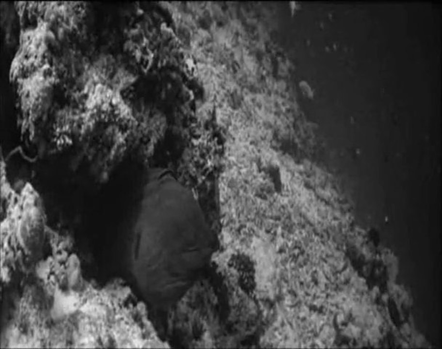 THE SONG OF THE SEA - COMPO JP