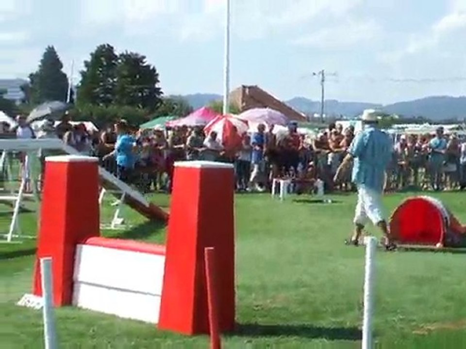 After Agility 2 Finale trophée par équipe 2010