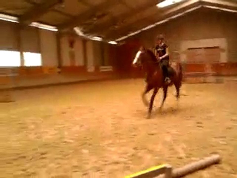 P.A saut d'obstacle (2)