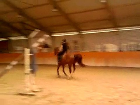 P.A saut d'obstacles (4)