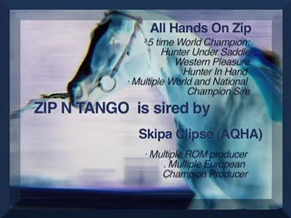 Zip N Tango