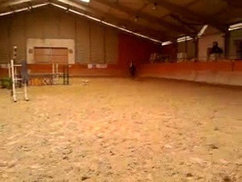 P.A saut d'obstacles (6)