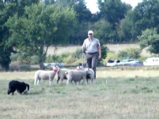 Continental Sheepdog Championship 2010: Tony Ottesen