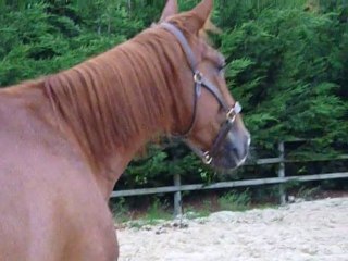 Quinfoot - 26 août 2010