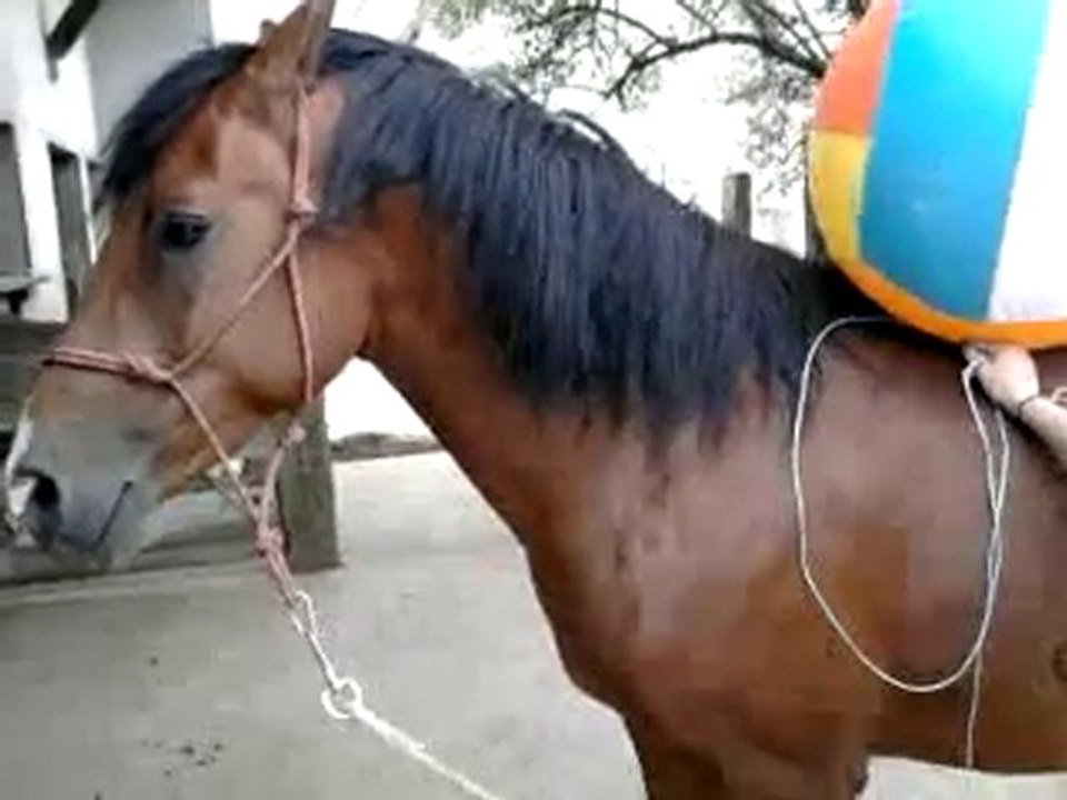 Ulkhan désensibilisation n°2