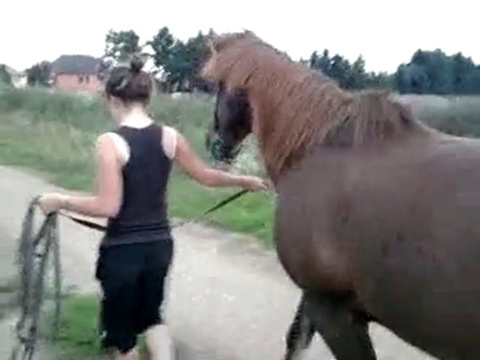 Salim 1ère sortie en extérieur, hors de son pré, à l'allé!