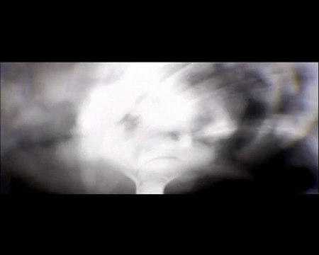 Venetian Snares - Szamar Madar - Breakcore