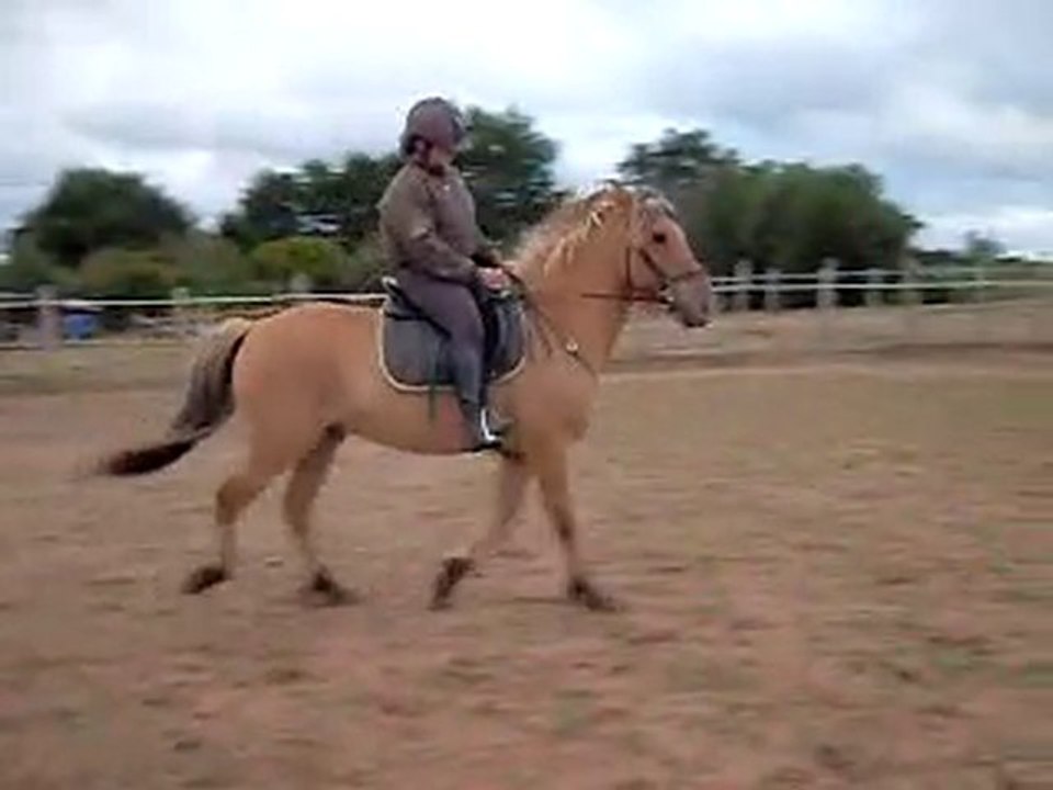 Pilou taf caro