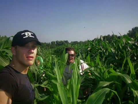 Daytime UFO Over Brezice, Slovenia - 11 July 2010