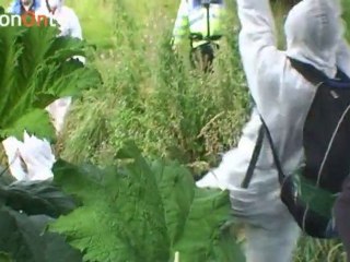 When Push Comes to Shove