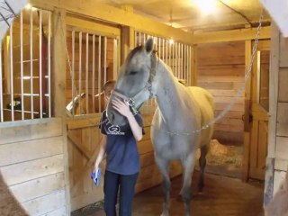 aujourd,hui une journée spéciale jeudi