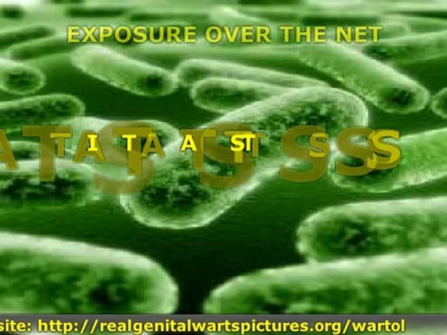 Genital Warts Pictures