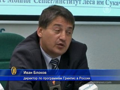 300 миллиардов долларов ущерба от лесных пожаров