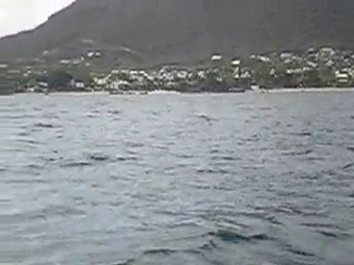 aout 2010 ile maurice 029