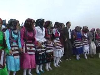 2010-AKTAŞ OTÇUSU.