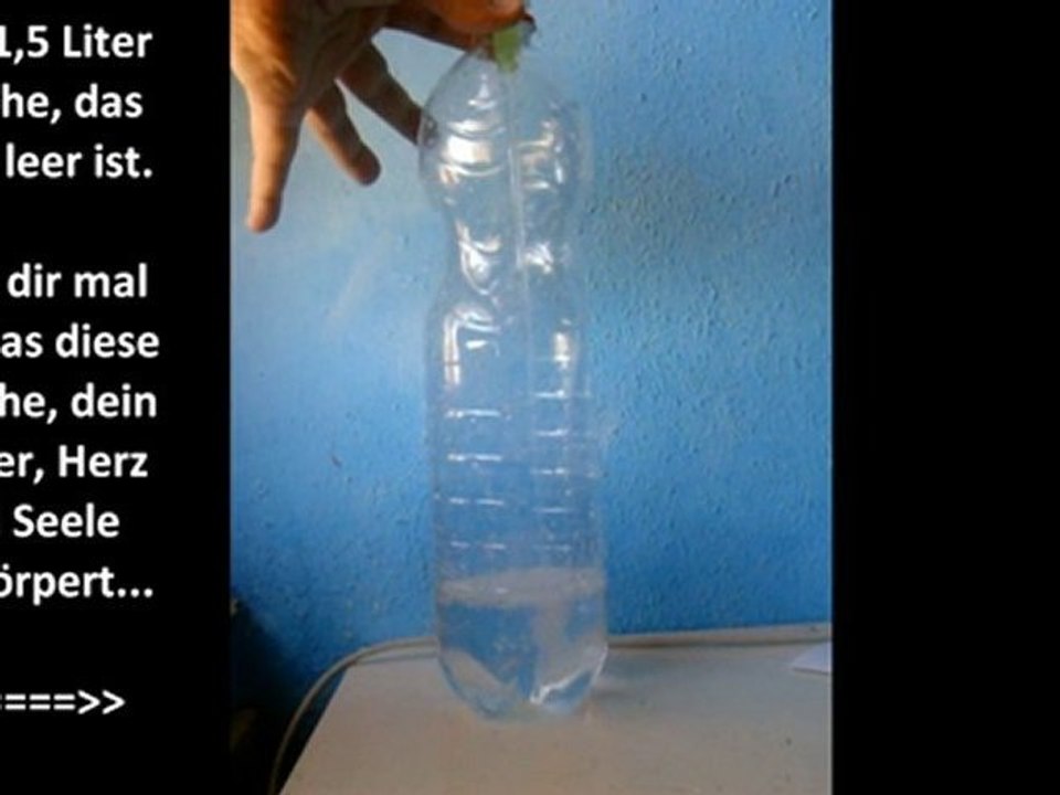 Ehrliche Juden für _quot;FREE PALÞSTINA