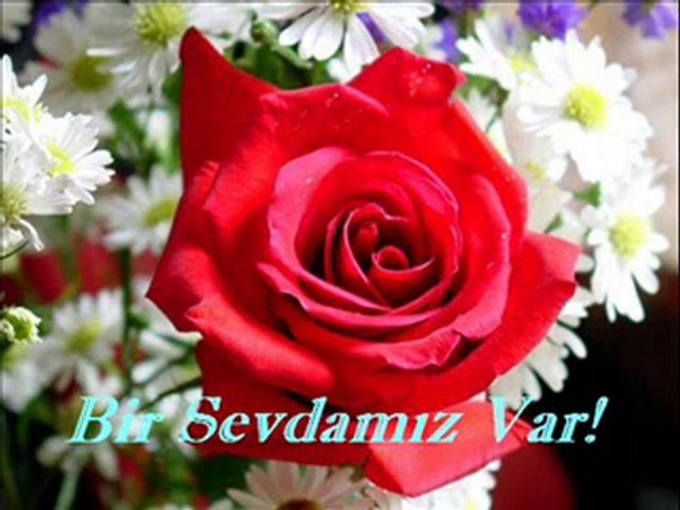 Manalı Gözler - Hacegan İlahi Grubu