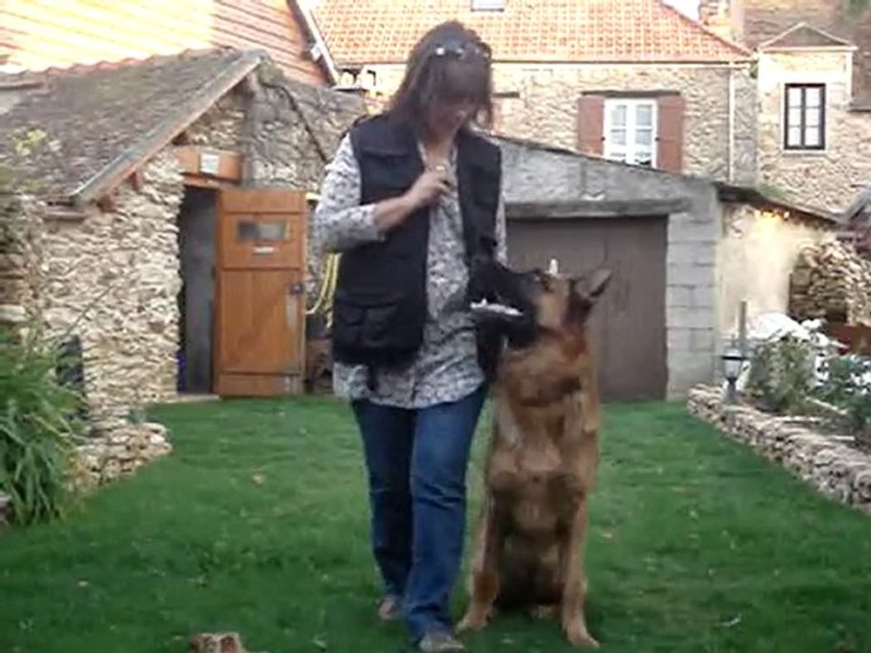 Charly apprentissage du regard