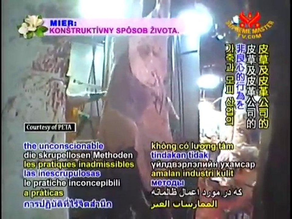 Skinned Alive: Interview with “Skin Trade” director Shan