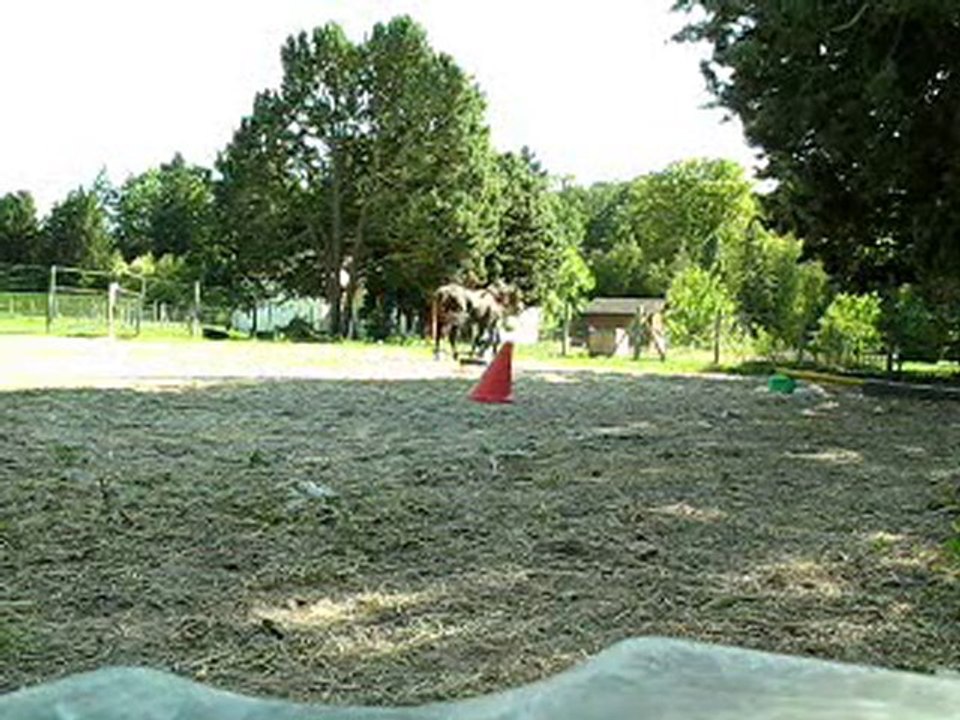 web Vass rnes au noeud 09.10