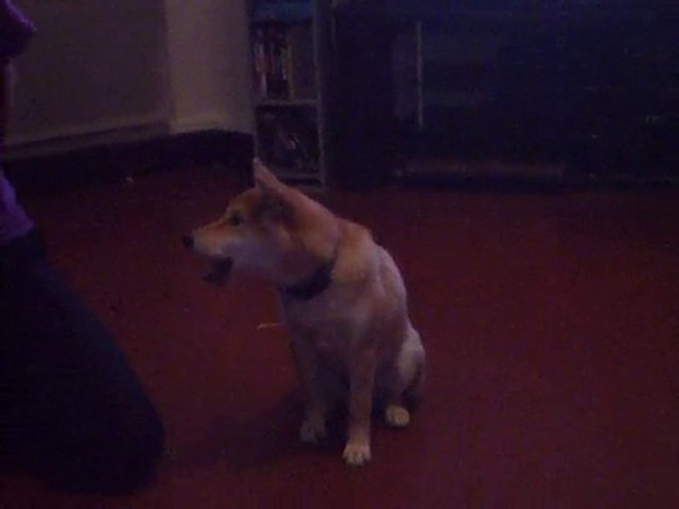 Fuji mois demi quelques tours