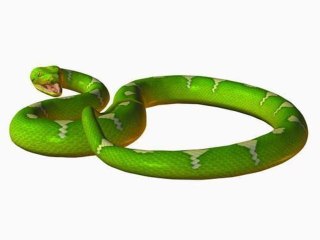 Zelda the minish cap 9) Le marais aux serpents