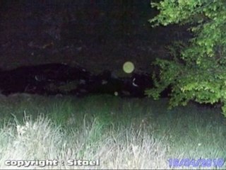 Des Orbes dans la nuit