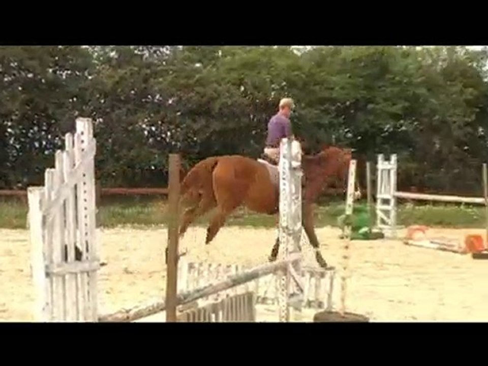 Cheval de 7 ans - Giovann